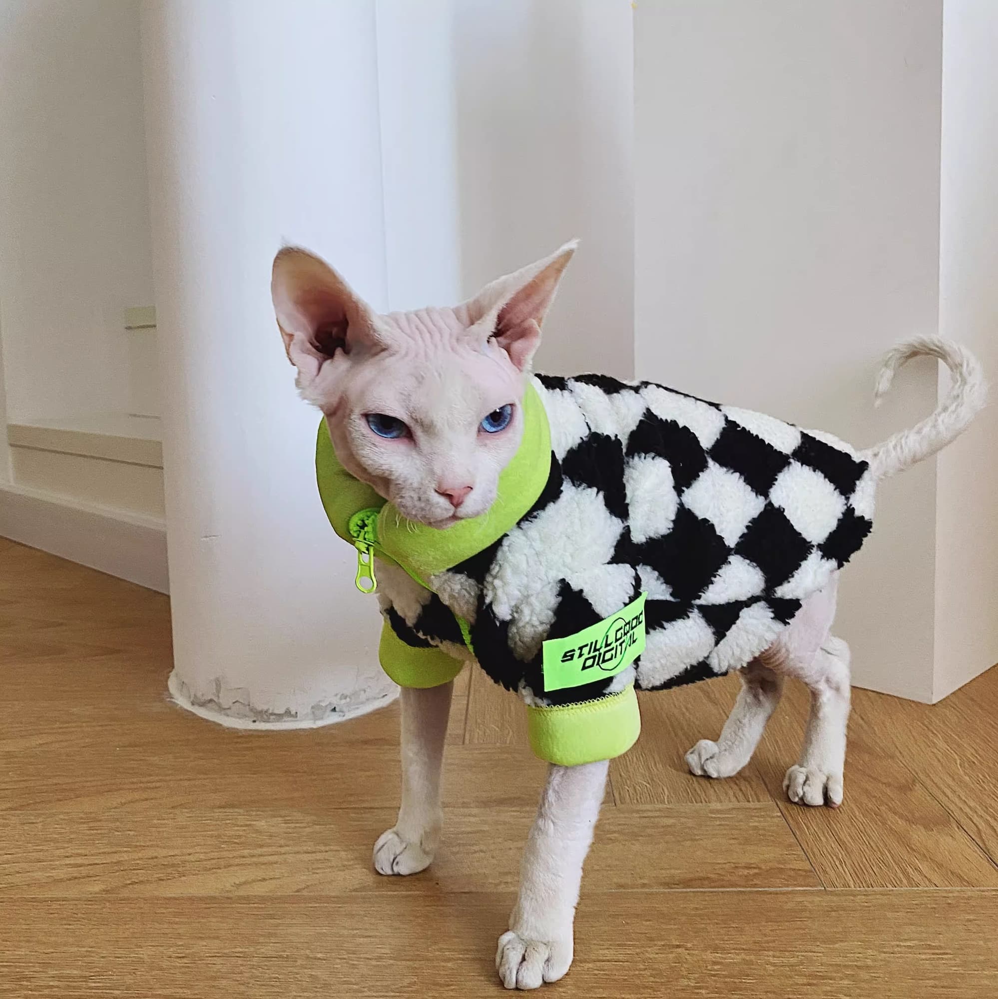 Abrigo de Lana Polar Grueso para Gatos Sphynx thumbnail 2
