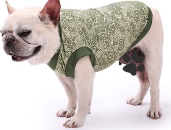 Chaleco Refrescante para Mascotas en Paseos thumbnail 4